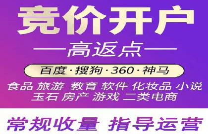 案例分析：竞价推广助力企业打造爆款产品